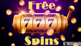 Фриспины (Бесплатные вращения, Freespins или Free Spins)
